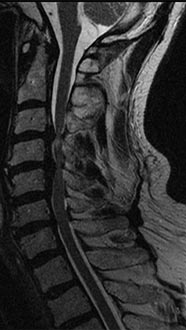 SK Spine | Cosmetic Dentistry, Periodontal Treatment and Digital Radiography