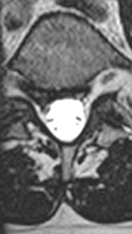 SK Spine | Digital Radiography, Veneers and CEREC